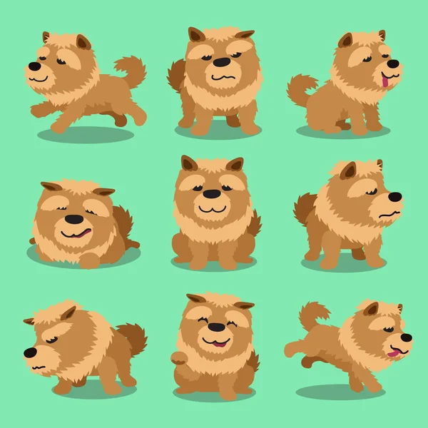 Personaje de dibujos animados chow chow dog poses — Vector de stock