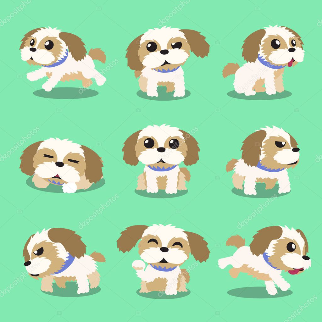 Cartoon character shih tzu dog poses