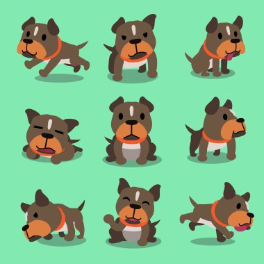 Cartoon character pit bull terrier dog poses clipart