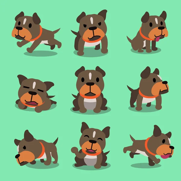 Personagem dos desenhos animados pit bull terrier cão poses — Vetor de Stock