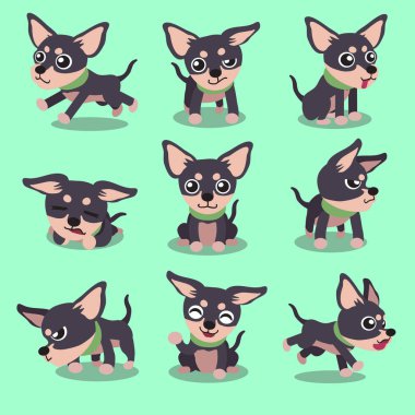 Çizgi film karakteri chihuahua köpek pozlar