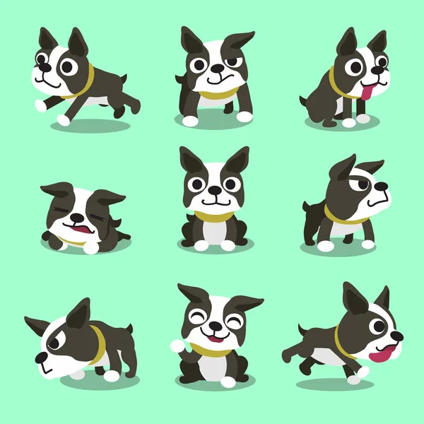 Personaggio dei cartoni animati boston terrier cane posa — Vettoriale Stock