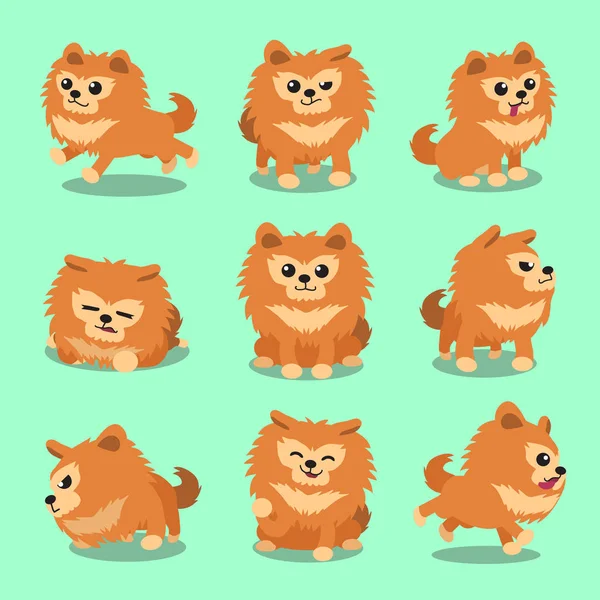 Desenhos animados personagem pomeranian cão poses —  Vetores de Stock