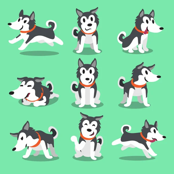 Personagem de desenhos animados Siberian husky cão poses — Vetor de Stock