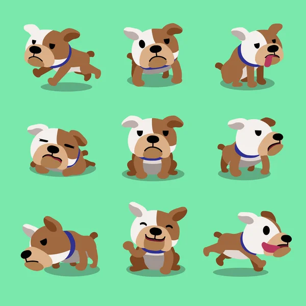 Cartoon character bulldog poses — Stock Vector