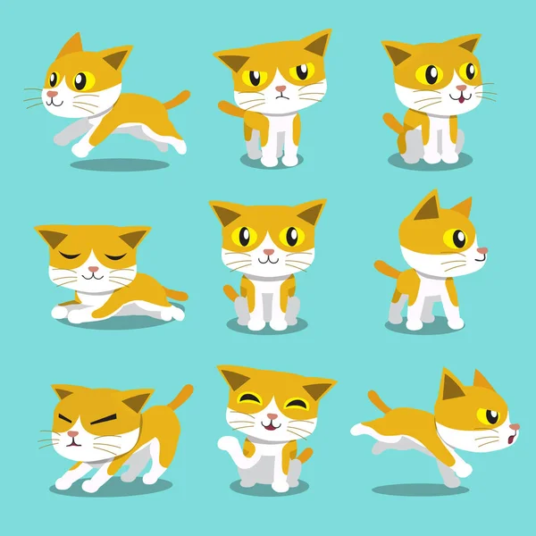Πόζες γάτα χαρακτήρα κινουμένων σχεδίων — Διανυσματικό Αρχείο