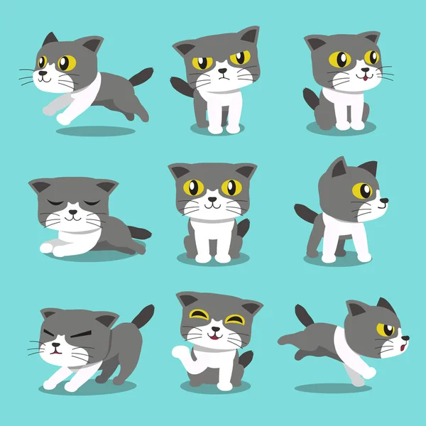 Personaje de dibujos animados gato poses conjunto — Vector de stock