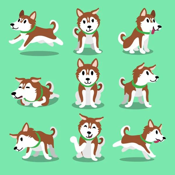 Tecknad karaktär brun siberian husky hunden utgör — Stock vektor