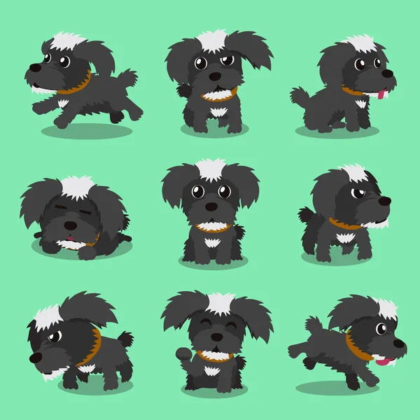 Κινούμενα σχέδια χαρακτήρα μαύρο μαλτέζικη Μάλτα σκυλί πόζες — Διανυσματικό Αρχείο