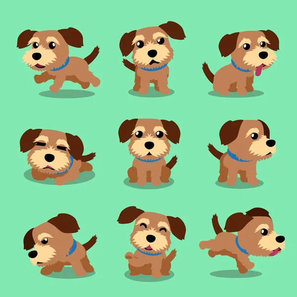 Desenhos animados personagem norfolk terrier cão poses — Vetor de Stock