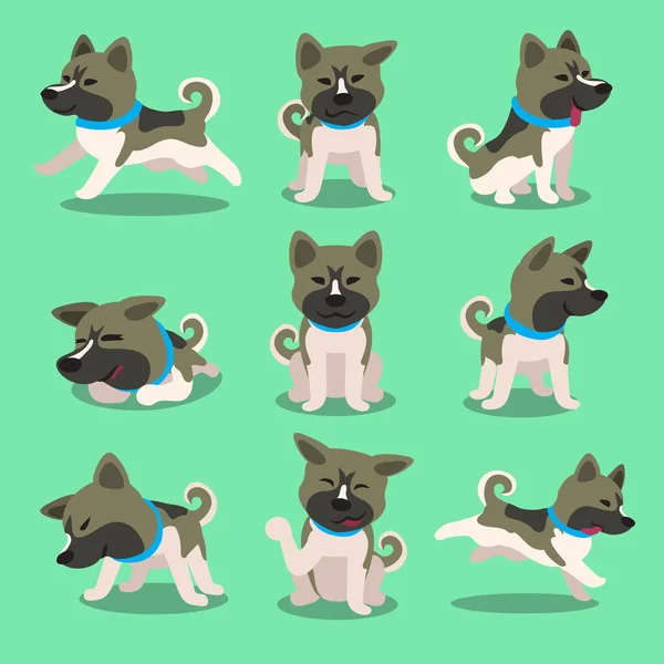 Dibujos animados akita inu perro poses — Archivo Imágenes Vectoriales