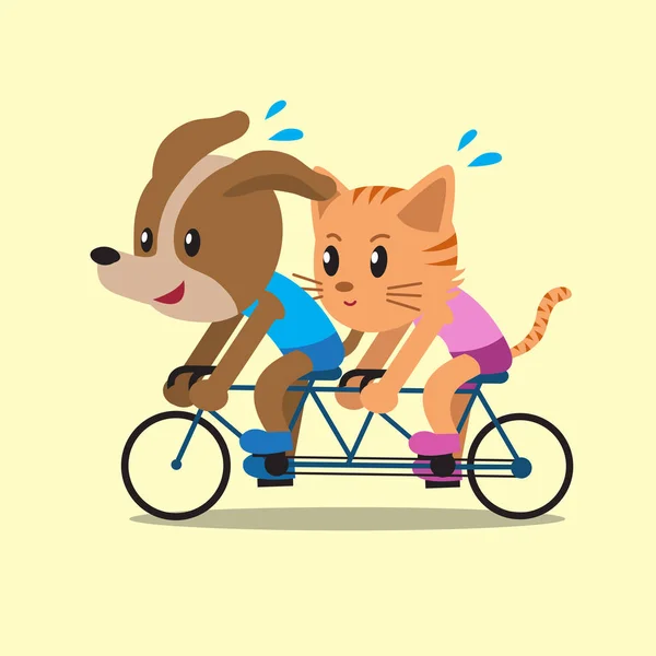 Desenhos animados um gato e um passeio de cão bicicleta em tandem —  Vetores de Stock