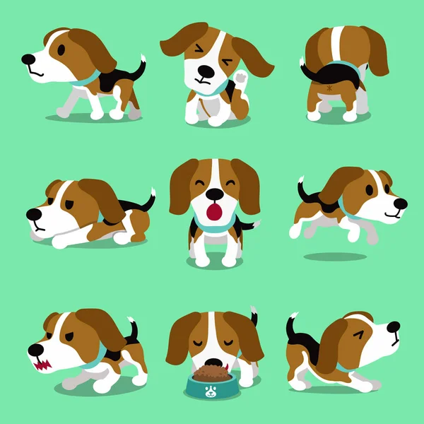 Kreslená postava beagle pes pózy — Stockový vektor