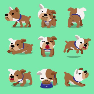 Çizgi film karakteri bulldog pozlar tasarımı için.