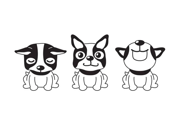Vector Cartoon Character Boston Terrier Dog Poses Design — Stock Vector