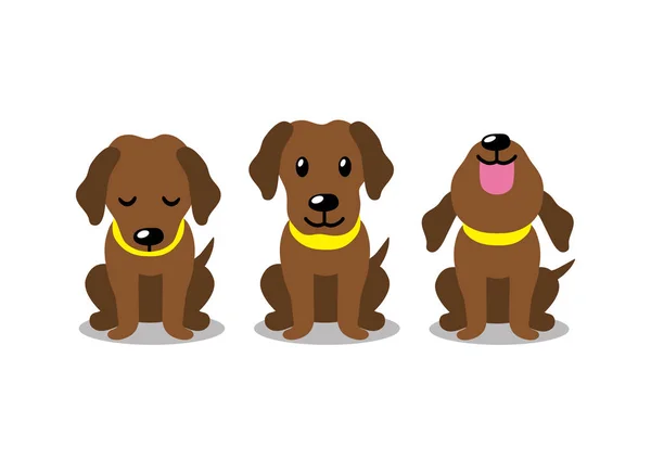 Διάνυσμα Καρτούν Χαρακτήρα Καφέ Σκυλί Λαμπραντόρ Θέτει Για Σχεδιασμό — Διανυσματικό Αρχείο