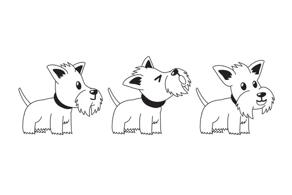 Conjunto Personajes Dibujos Animados Perro Terrier Escocés Posa Para Diseño — Vector de stock