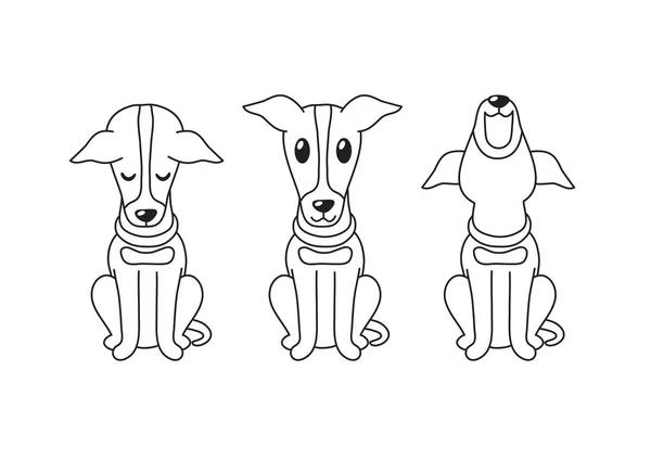 Personaggio Dei Cartoni Animati Levriero Cane Posa Design — Vettoriale Stock