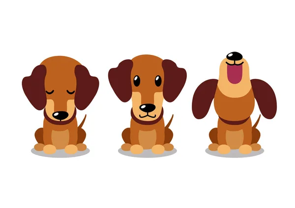 Vetor Personagem Desenho Animado Dachshund Cão Poses Para Design —  Vetores de Stock