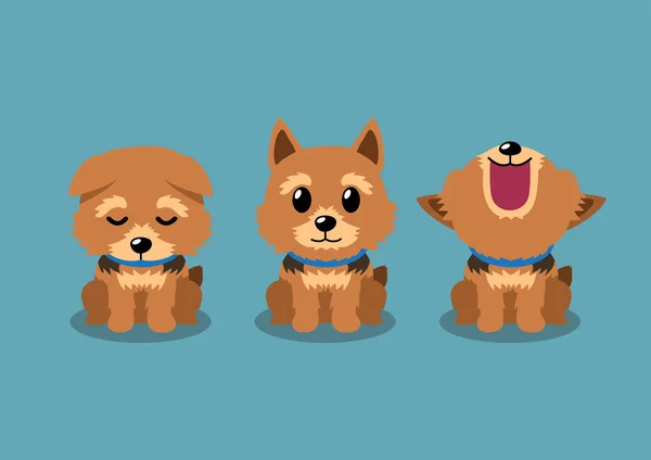 Vector Personaje Dibujos Animados Norwich Terrier Perro Posa Para Diseño — Vector de stock