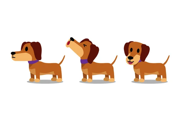 Набір Векторних Мультиплікаційних Персонажів Таксонів Собак Дизайну — стоковий вектор