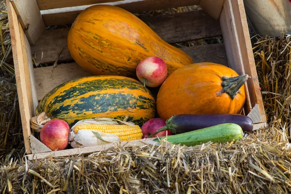 autumn background. autumn harvest. autumn motives background