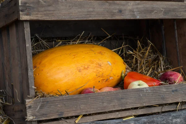 autumn background. autumn harvest. autumn motives background