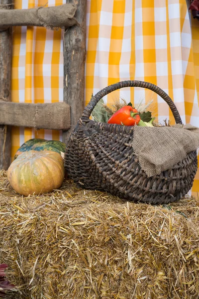 autumn background. autumn harvest. autumn motives background