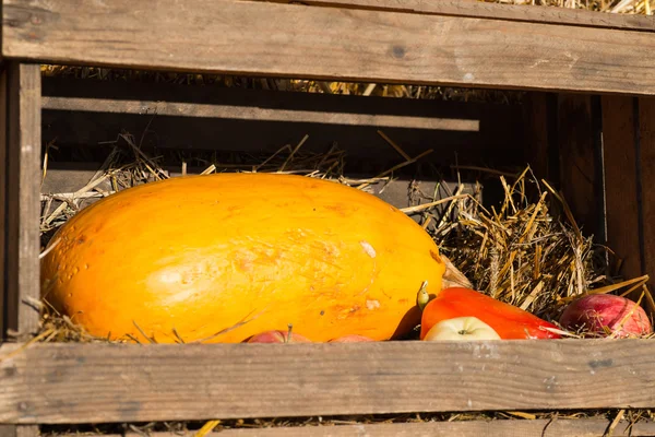 autumn background. autumn harvest. autumn motives background