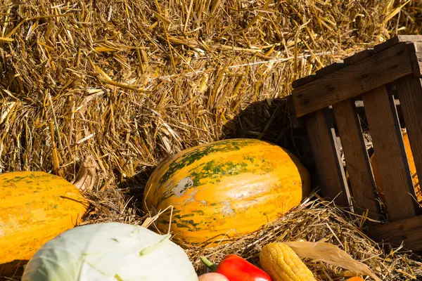 autumn background. autumn harvest. autumn motives background