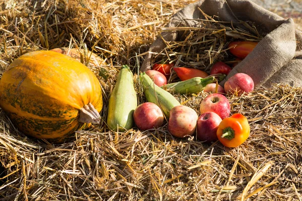Fondo de otoño. cosecha de otoño. motivos de otoño fondo — Foto de Stock