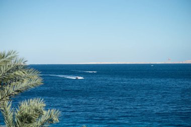 Denizde gemi. Red Sea'deki/daki sürat teknesi