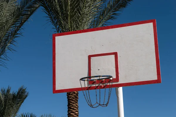 Basketball backboard in the palms — Stock Photo, Image