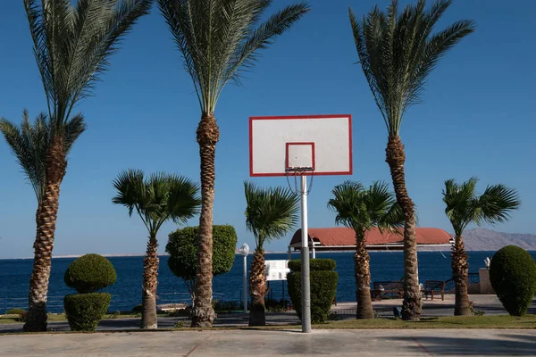 Basketball-Backboard in den Handflächen — Stockfoto