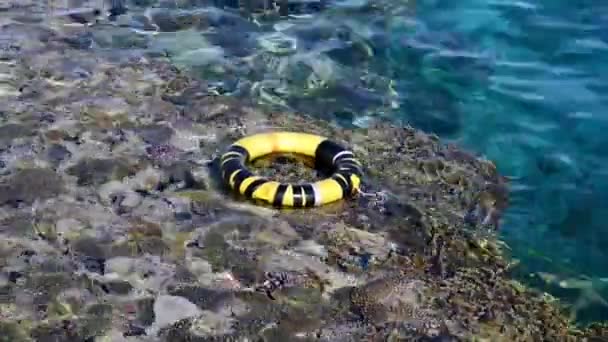 Línea de vida en el mar rojo cerca del arrecife de coral — Vídeos de Stock