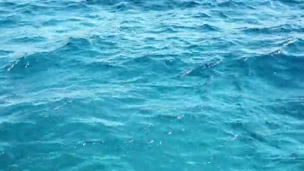 Achtergrond van de rode zee. water achtergrond. turkooise kleur van het water — Stockvideo