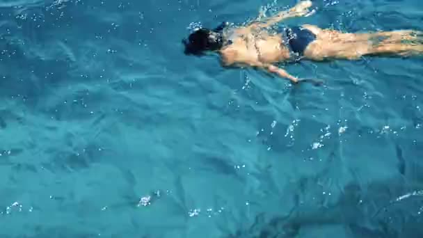 Menina tem sido snorkeling no mar vermelho — Vídeo de Stock