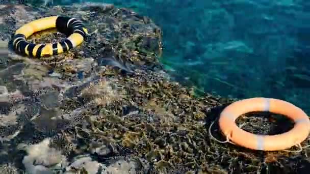 Levenslijn in de rode zee in de buurt van coral reef — Stockvideo