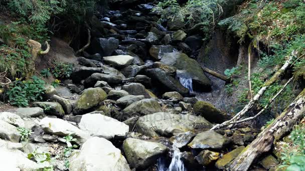 Pequena cachoeira na floresta — Vídeo de Stock