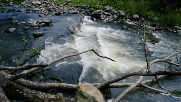 Petite montagne petite rivière court rapidement sur les pierres — Video