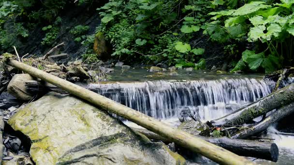 Hermosa cascada por el verano en el bosque — Vídeo de stock