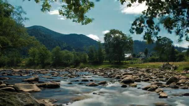 Přírodní krajina se stromy a řeka — Stock video