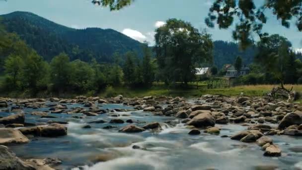 Natuur landschap met bomen en rivier — Stockvideo