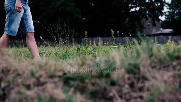 Девушка ходит по траве. Женские ноги ходят по зеленой траве — стоковое видео