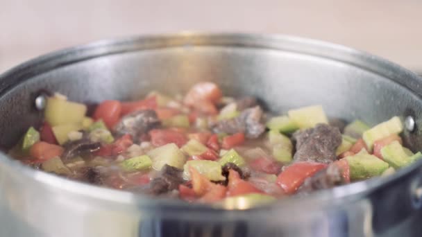 Тушеная говядина с овощами или гуляшем, традиционная венгерская еда — стоковое видео