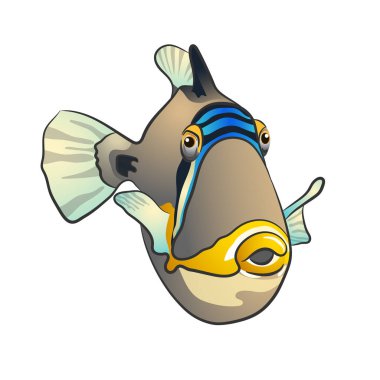 Picasso triggerfish. Beyaz arka plan üzerinde izole balık