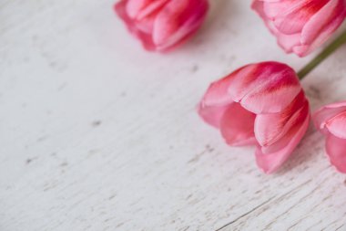 hafif ahşap zemin üzerine Pembe Laleler