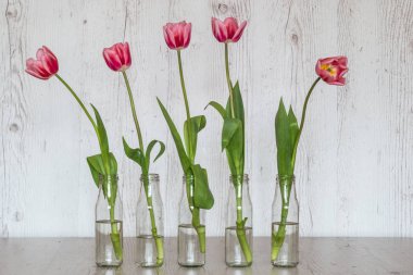 açık ahşap renkli cam şişelerde Pembe Laleler