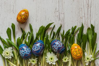 Paskalya Paskalya yumurtaları ve bahar çiçekleri yeşil çimenlerin üzerinde arka plan