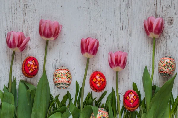 Velikonoční pozadí s velikonoční vajíčka a růžové tulipány na zelené trávě — Stock fotografie